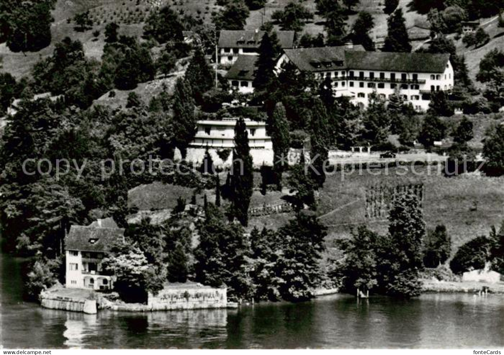 13860704 Vitznau Witznau Vierwaldstaettersee LU Ferienheim SMUV Am See  - Autres & Non Classés