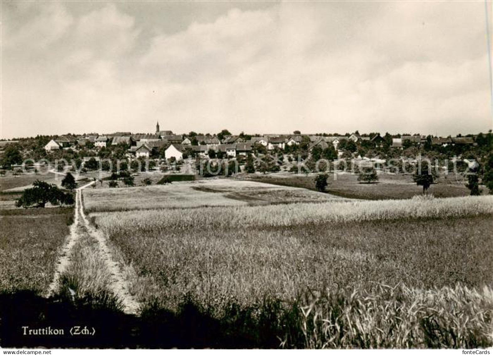 13854864 Truttikon ZH Panorama  - Autres & Non Classés