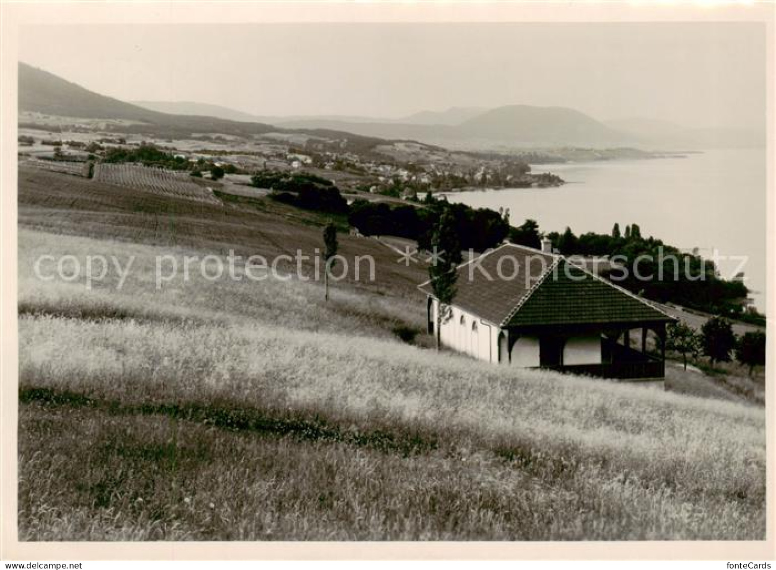 13854401 Vaumarcus NE Camp Panorama Lac De Neuchatel - Autres & Non Classés