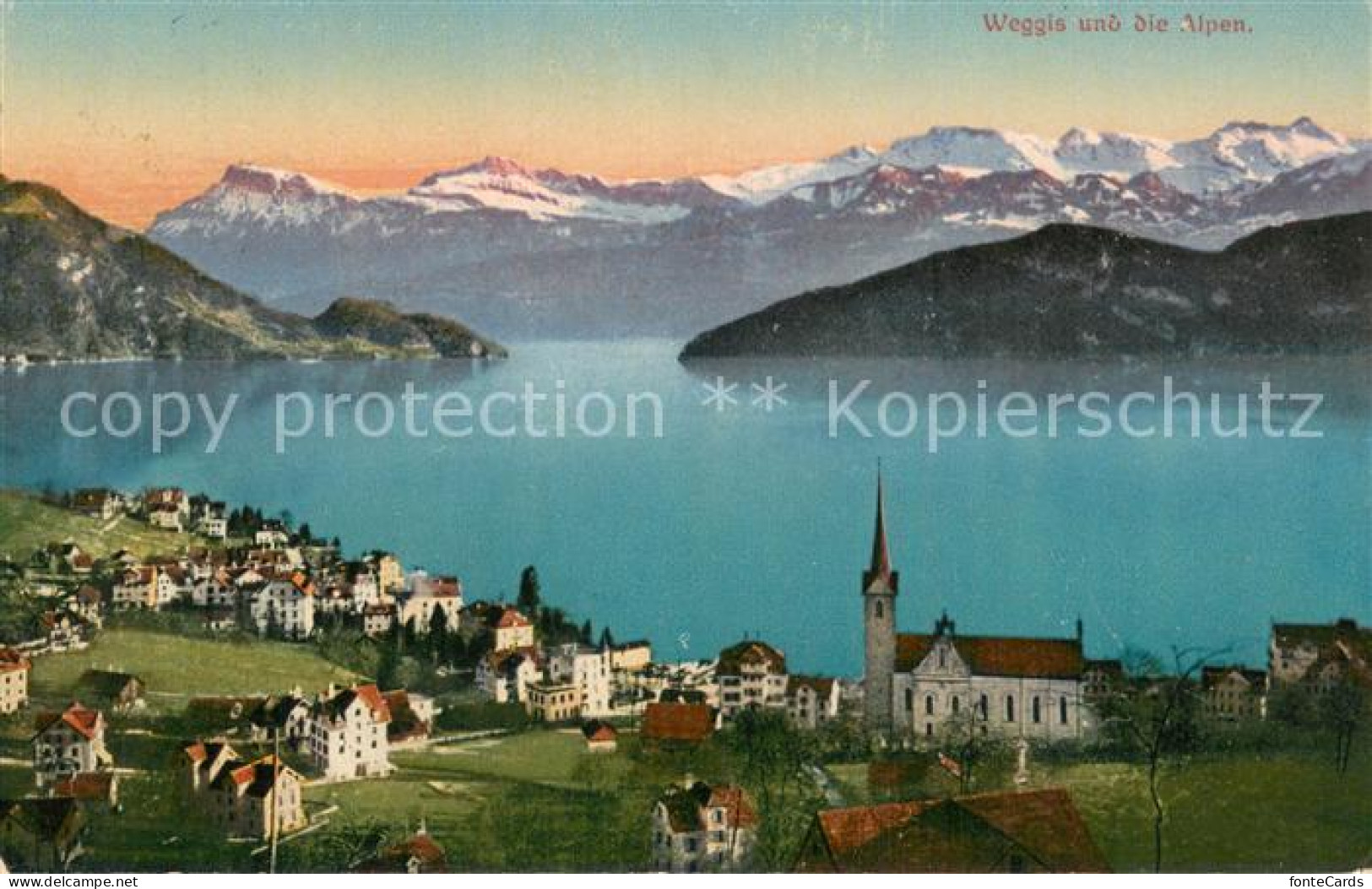 13852142 Weggis Vierwaldstaettersee Weggis Und Die Alpen Weggis Vierwaldstaetter - Autres & Non Classés