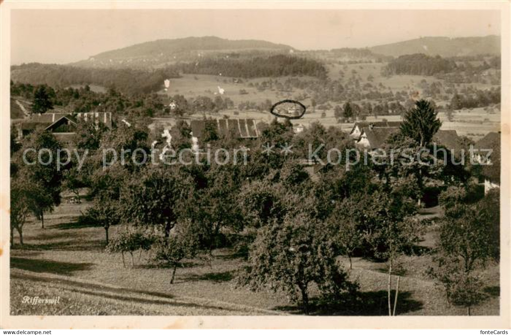 13851538 Rifferswil ZH Panorama  - Autres & Non Classés