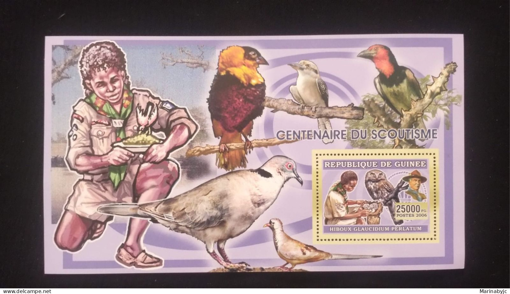 D)2006, REPUBLIC OF GUINEA, MINI SOUVENIR SHEET, ISSUE, CENTENARY OF THE SCOUT MOVEMENT, MNH - República De Guinea (1958-...)