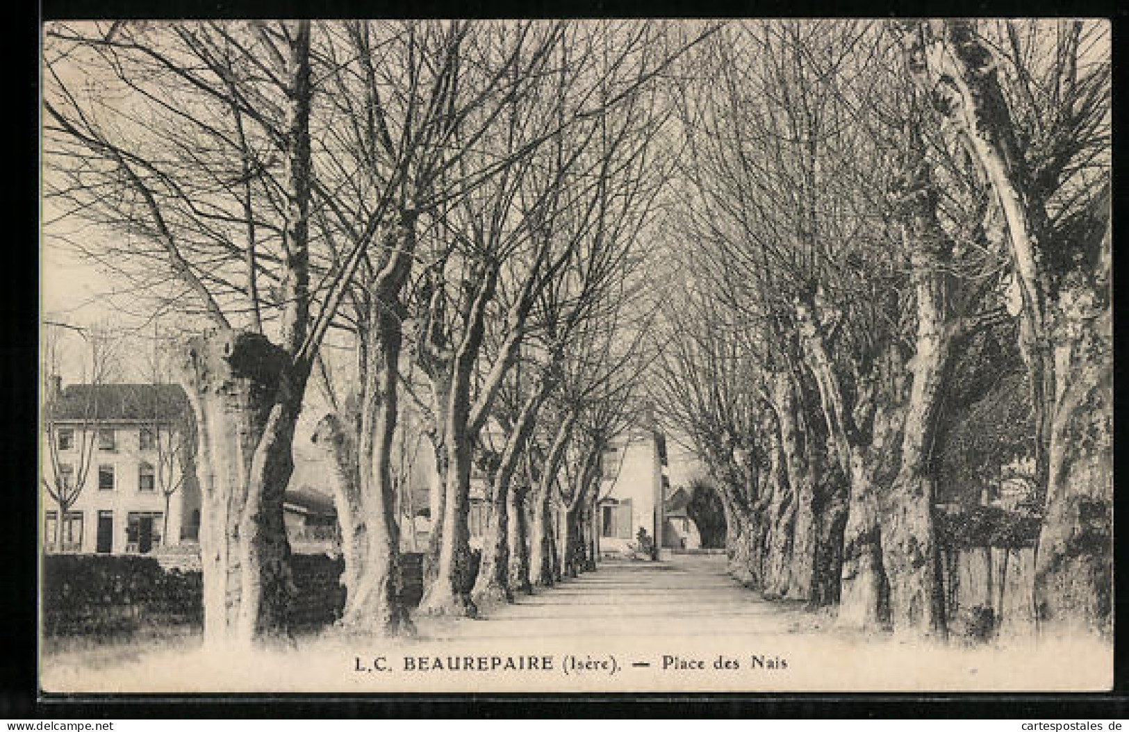 CPA Beaurepaire, Place Des Nais  - Beaurepaire