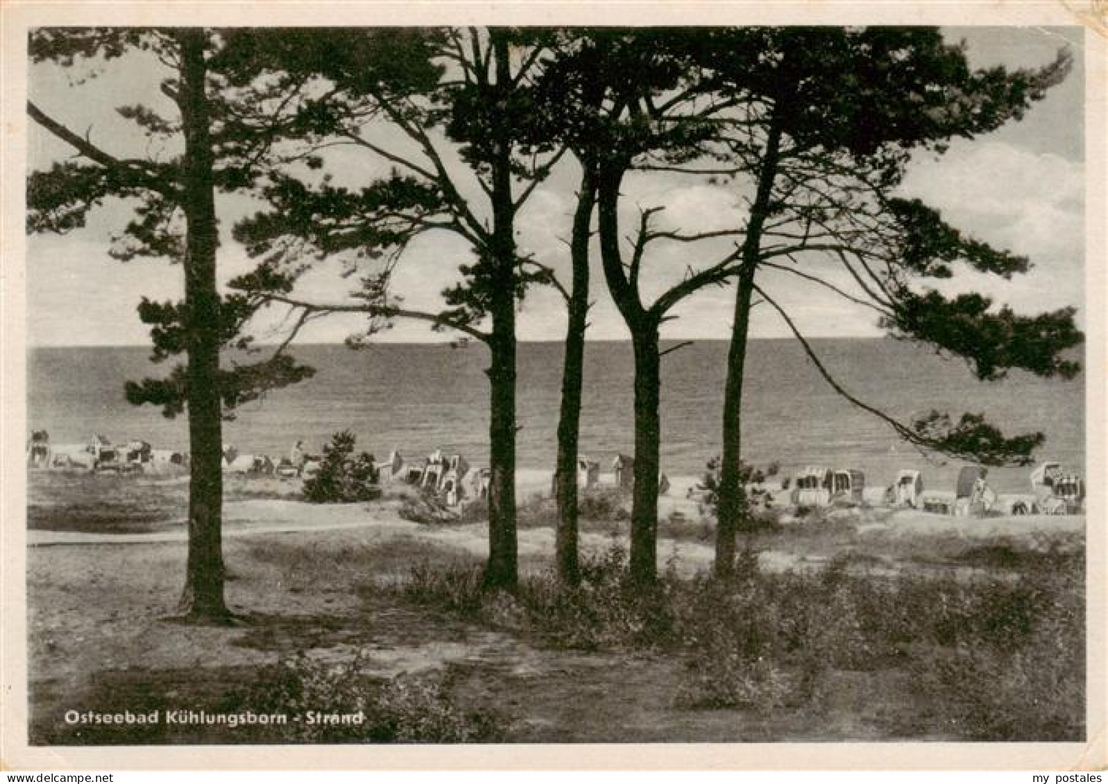 73892545 Kuehlungsborn Ostseebad Strand Kuehlungsborn Ostseebad - Kuehlungsborn