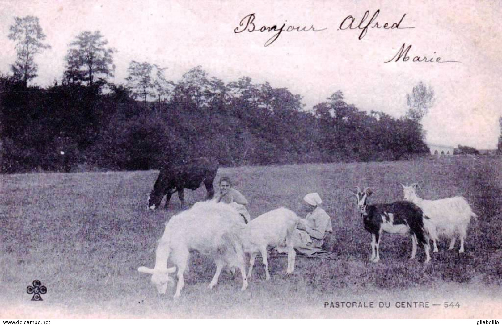 Agriculture -  Pastorale Du Centre - Bergere Et Son Troupeau De Chevres - Elevage