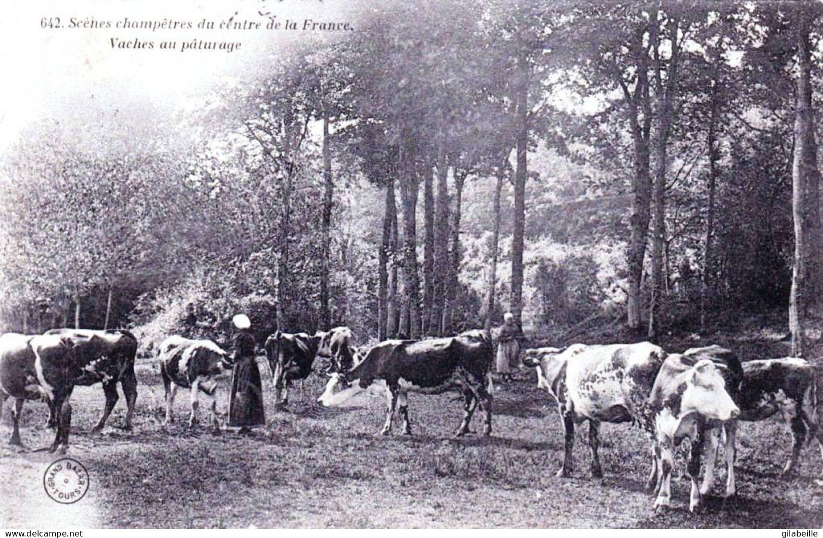 Agriculture - Scenes Champetres Du Centre De La France -  Vaches Au Paturage - Breeding