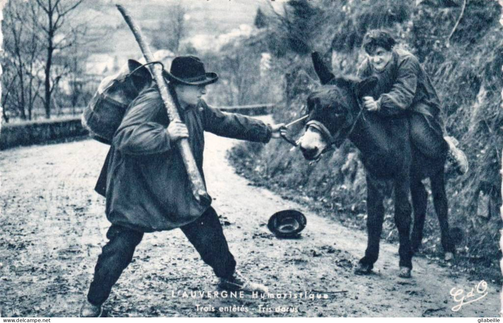 AUVERGNE  - Humour - Trois Entetés - Tris Darus - Ane - Auvergne