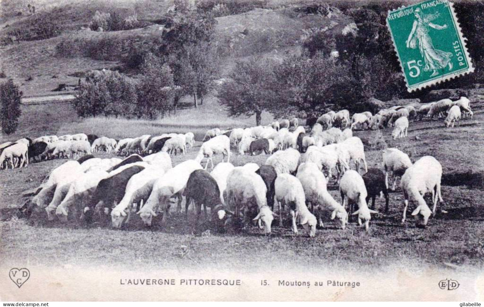  AUVERGNE -  L'Auvergne Pittoresque - Moutons Au Paturage - Auvergne