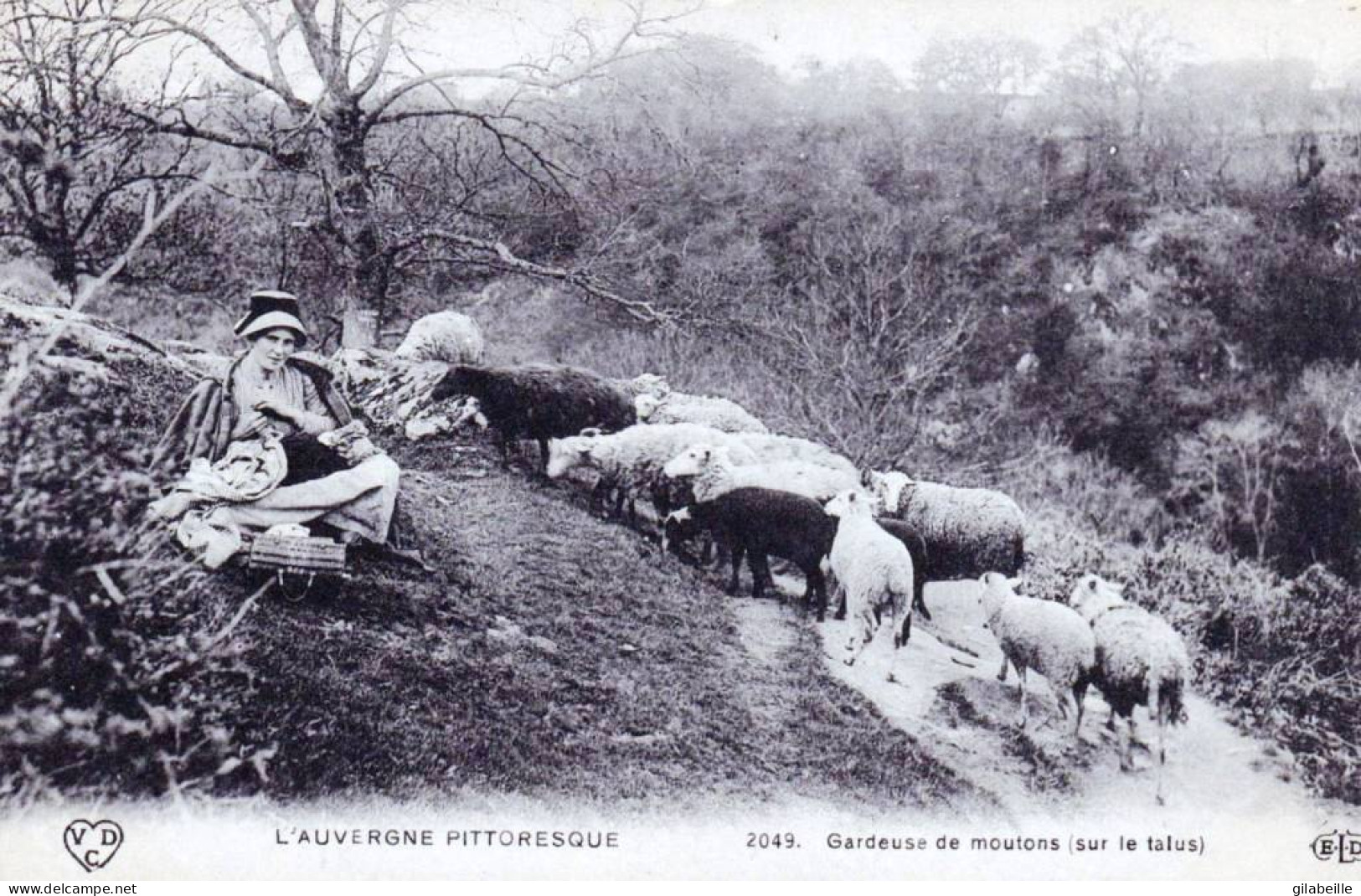  AUVERGNE -  L'Auvergne Pittoresque -  Gardeuse De Moutons Sur Le Talus - Auvergne