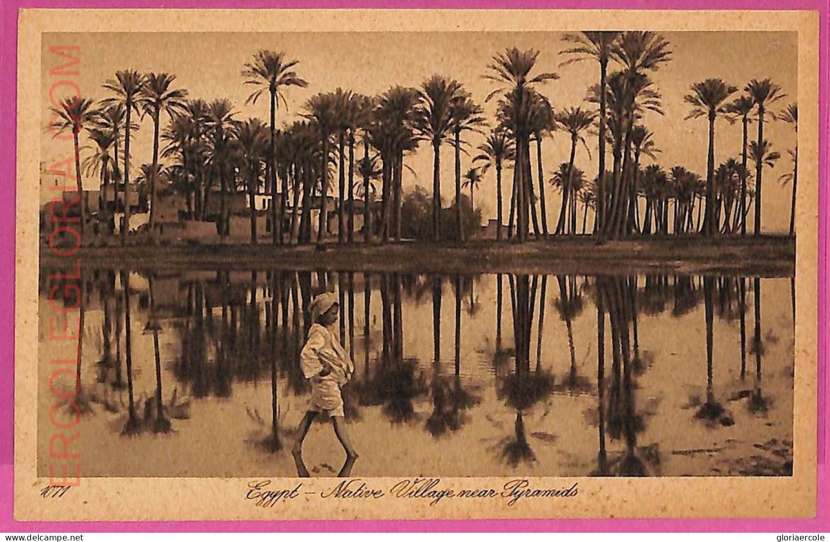 Ag2634  - EGYPT - VINTAGE POSTCARD  - Native Village Near Pyramids - Sonstige & Ohne Zuordnung