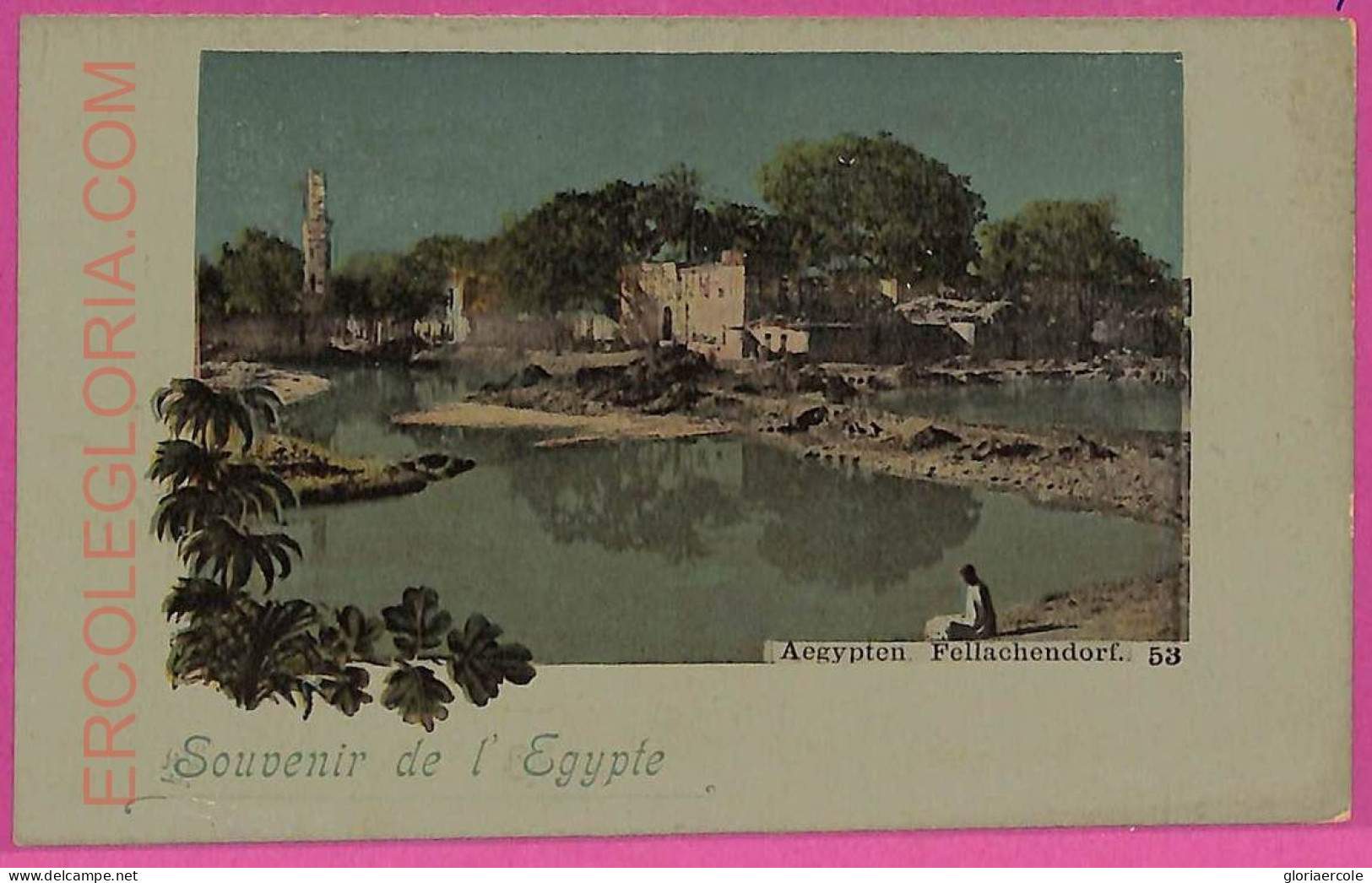 Ag2641  - EGYPT - VINTAGE POSTCARD - Sonstige & Ohne Zuordnung