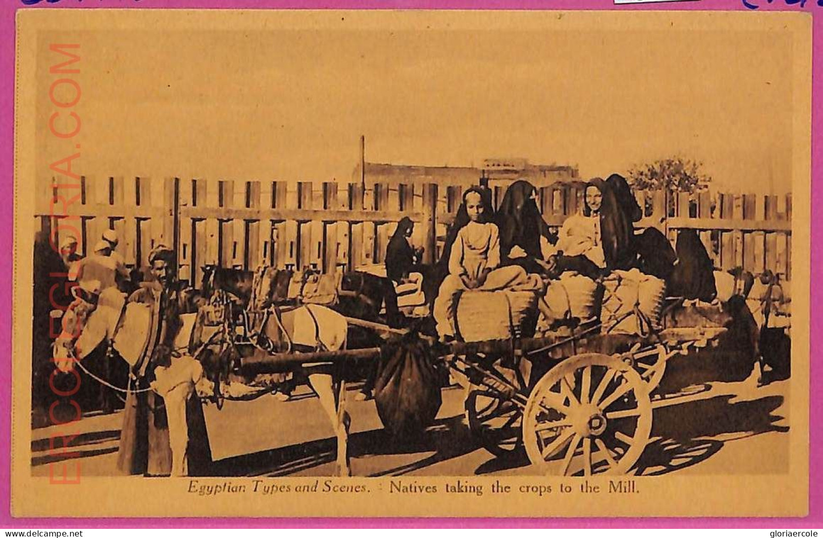 Ag2642 - EGYPT - VINTAGE POSTCARD - Ethnic - Afrika