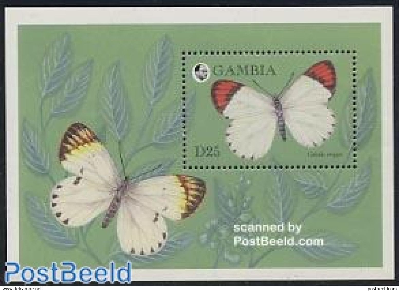 Gambia 1994 Colotis Evippe S/s, Mint NH, Nature - Butterflies - Gambie (...-1964)