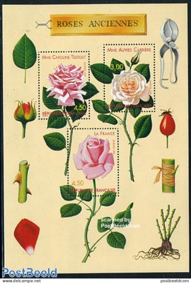 France 1999 Roses S/s, Mint NH, Nature - Flowers & Plants - Roses - Unused Stamps