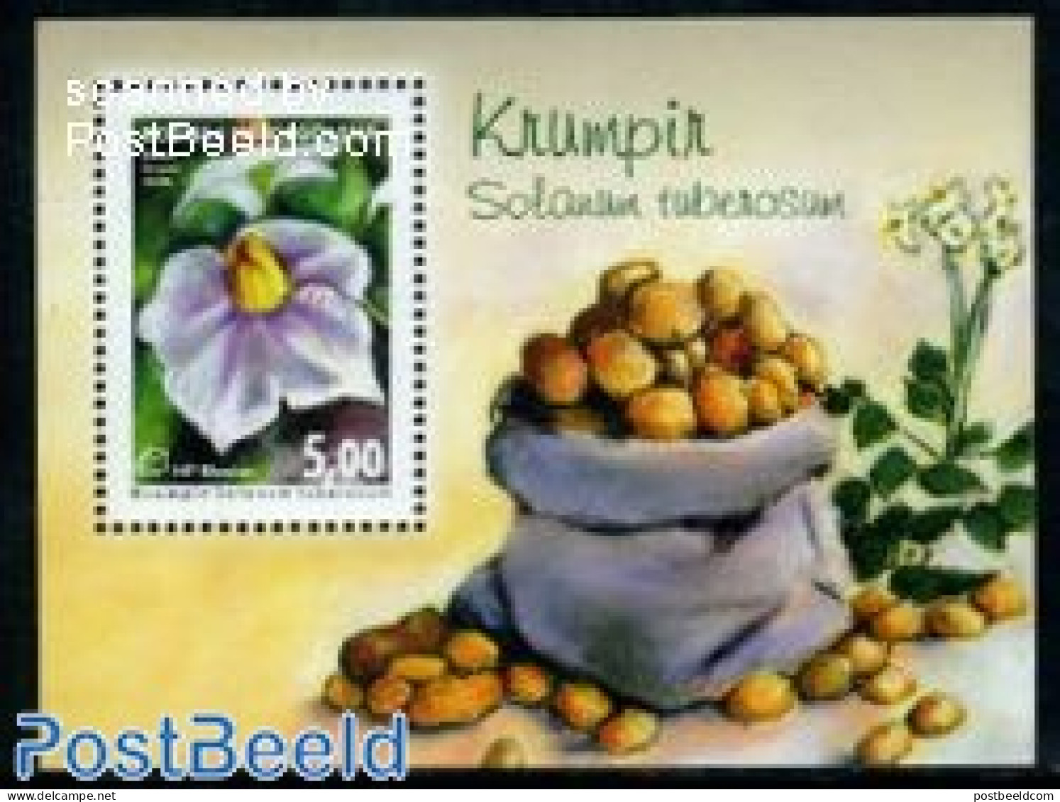 Bosnia Herzegovina - Croatic Adm. 2008 Potato S/s, Mint NH, Health - Nature - Various - Food & Drink - Flowers & Plant.. - Food
