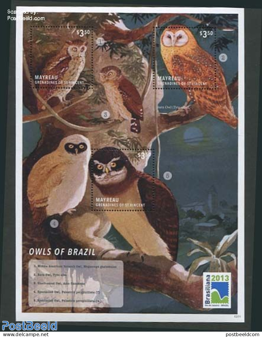 Saint Vincent & The Grenadines 2013 Owls Of Brazil 3v M/s, Mint NH, Nature - Birds - Birds Of Prey - Owls - St.Vincent Y Las Granadinas