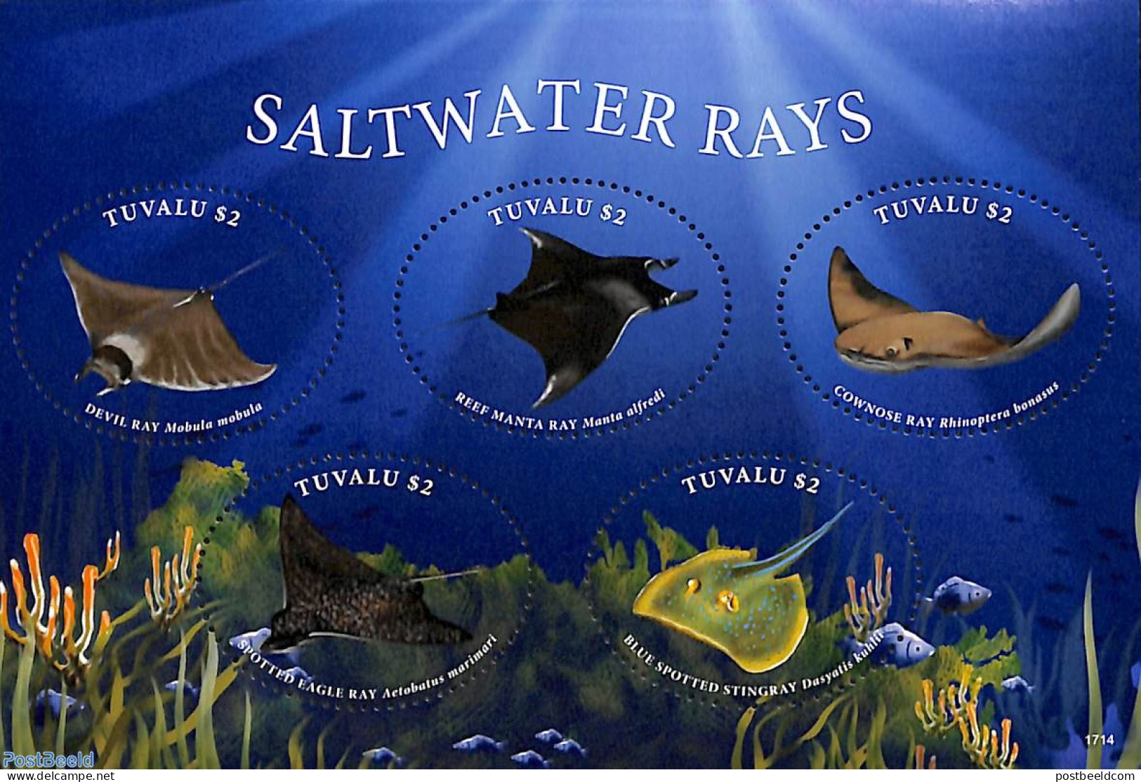 Tuvalu 2017 Saltwater Rays 5v M/s, Mint NH, Nature - Various - Fish - Round-shaped Stamps - Fische