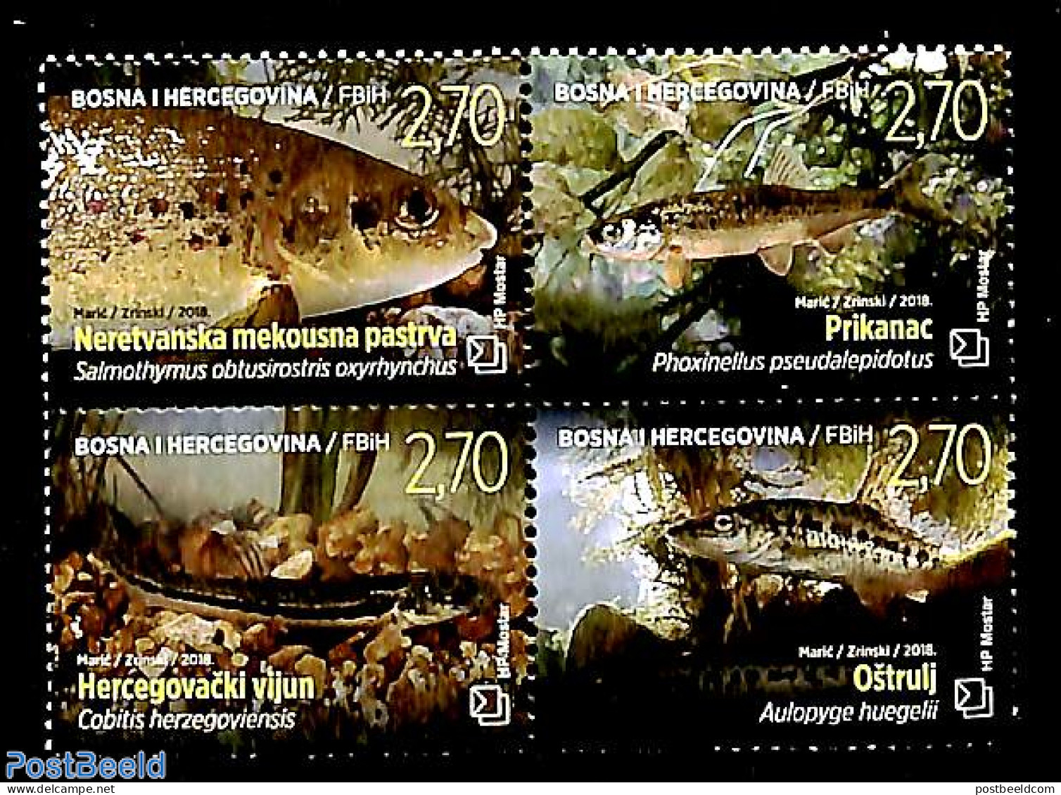 Bosnia Herzegovina - Croatic Adm. 2018 Fish 4v [+], Mint NH, Nature - Fish - Poissons
