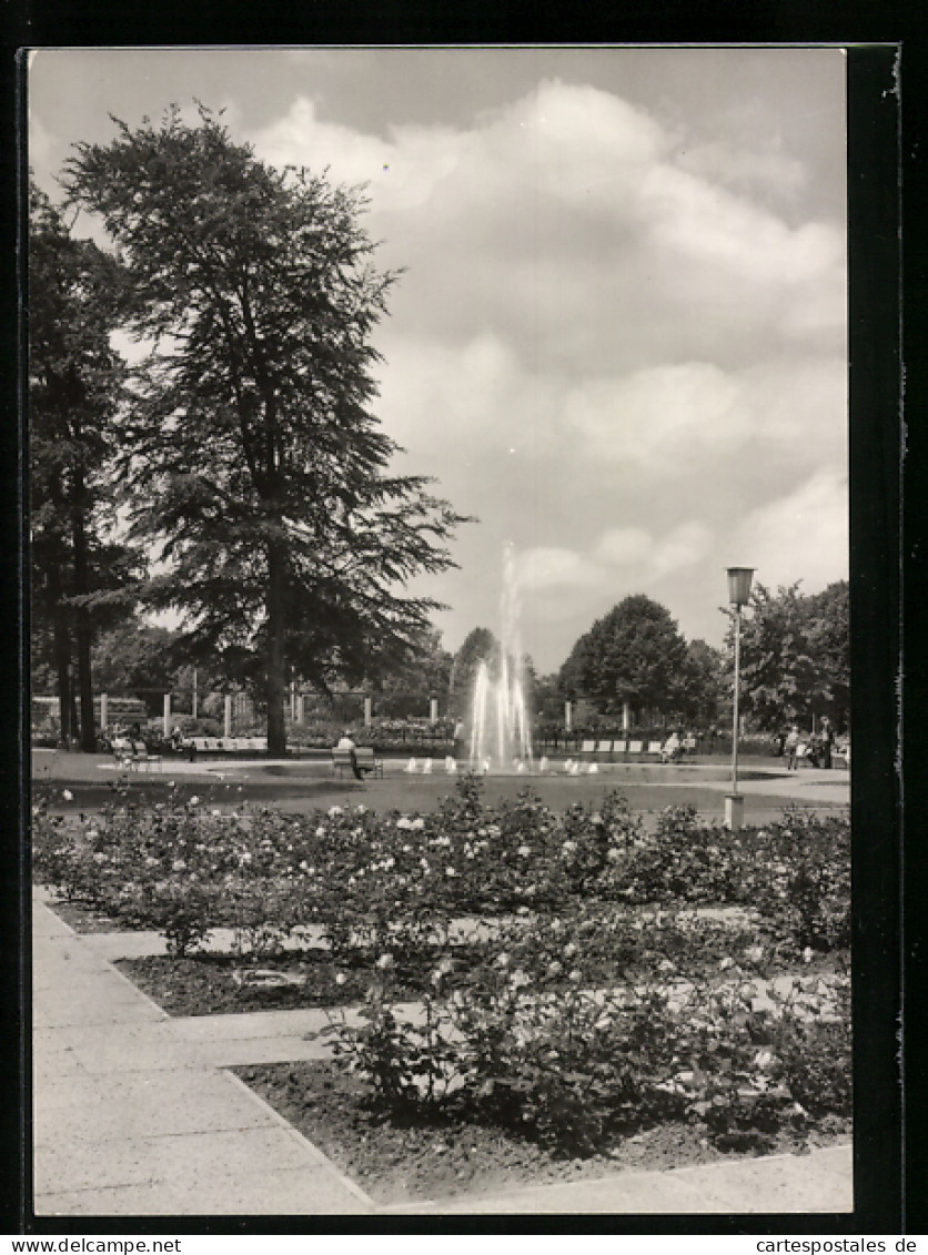 AK Berlin-Treptow, Rosengarten  - Treptow