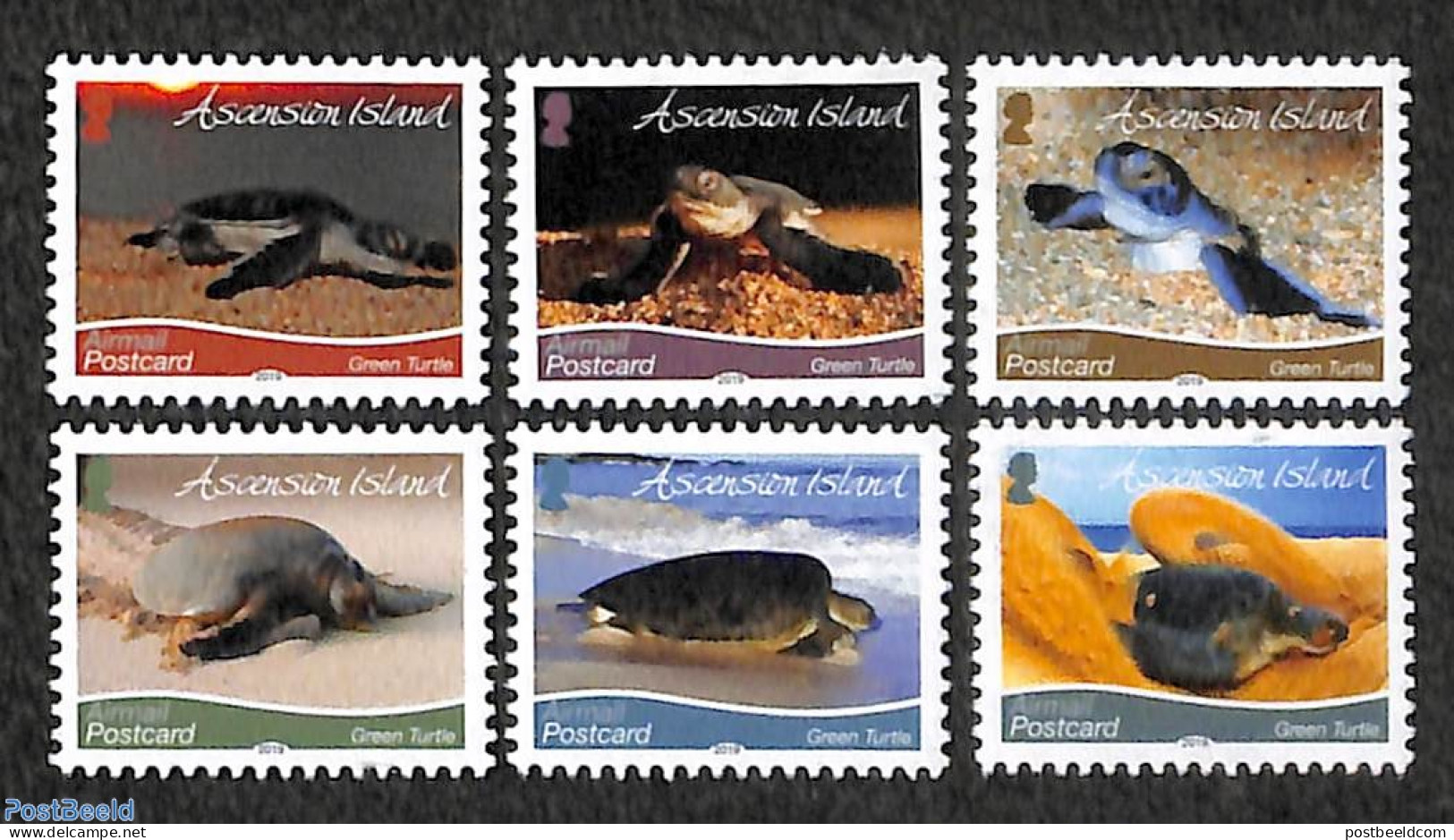 Ascension 2019 Turtles 6v With Year 2019, Mint NH, Nature - Turtles - Ascensión