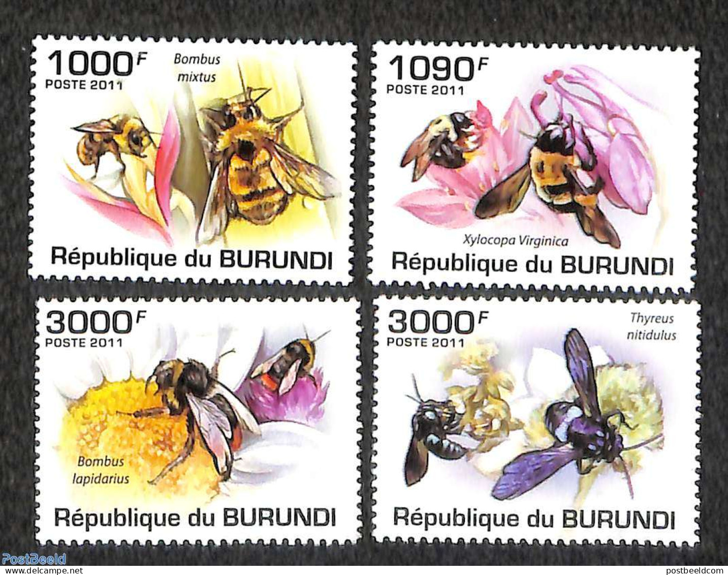 Burundi 2011 Bees 4v, Mint NH, Nature - Bees - Insects - Autres & Non Classés
