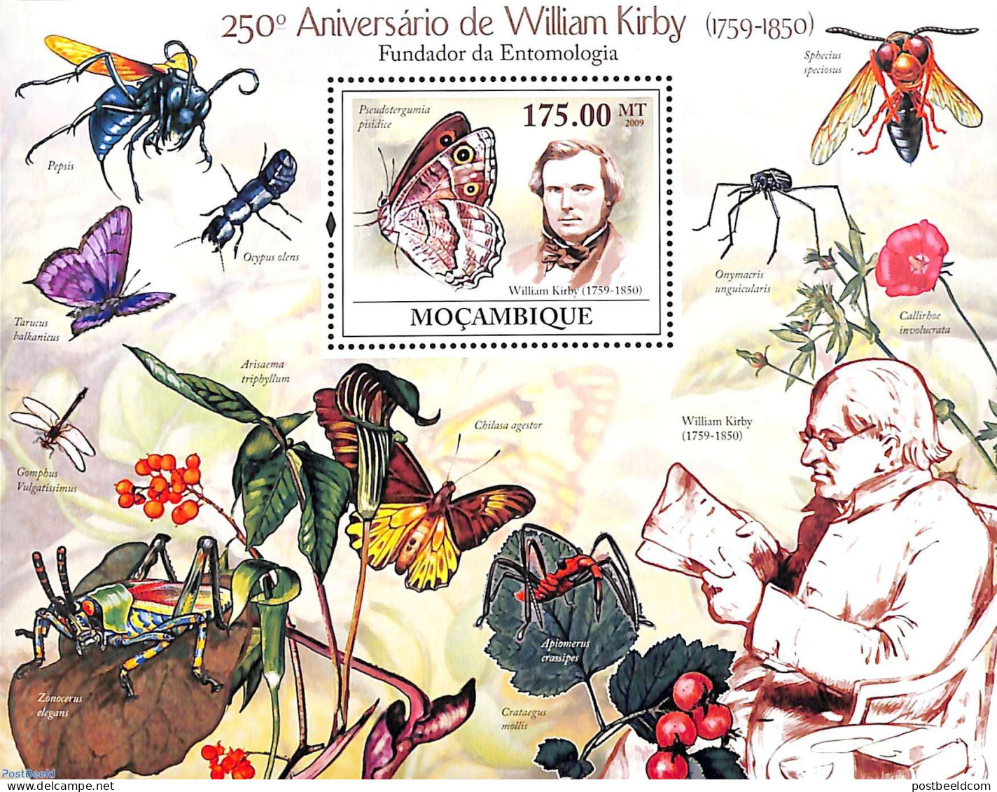 Mozambique 2009 William Kirby S/s, Mint NH, Nature - Butterflies - Insects - Mozambico