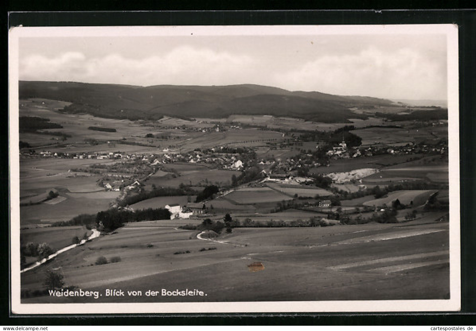 AK Weidenberg, Blick Von Der Bocksleite  - Weiden I. D. Oberpfalz