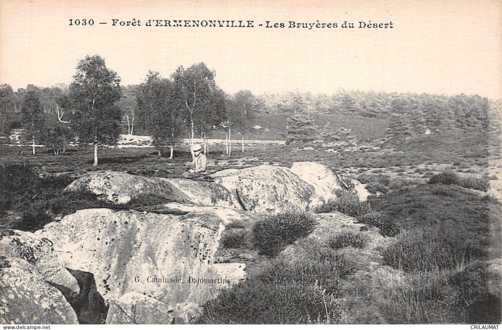 60-ERMENONVILLE LA FORET LES BRUYERES DU DESERT-N°T5067-D/0395 - Ermenonville