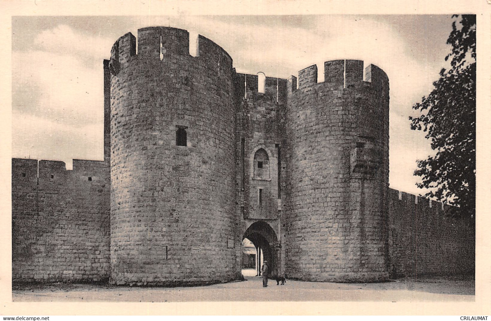 30-AIGUES MORTES-N°T5067-D/0181 - Aigues-Mortes