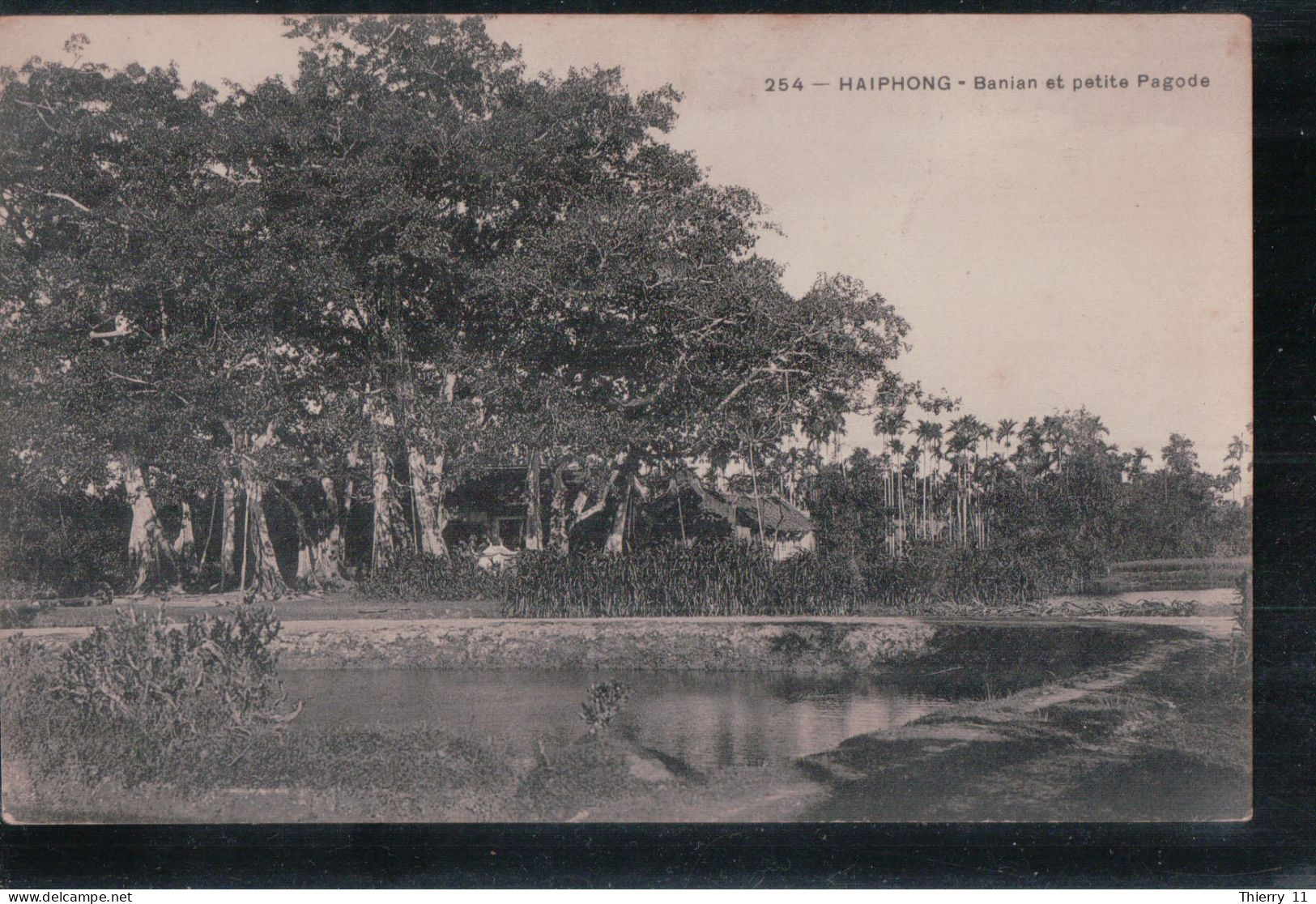 Cpa Haiphong Banian Et Petite Pagode - Vietnam