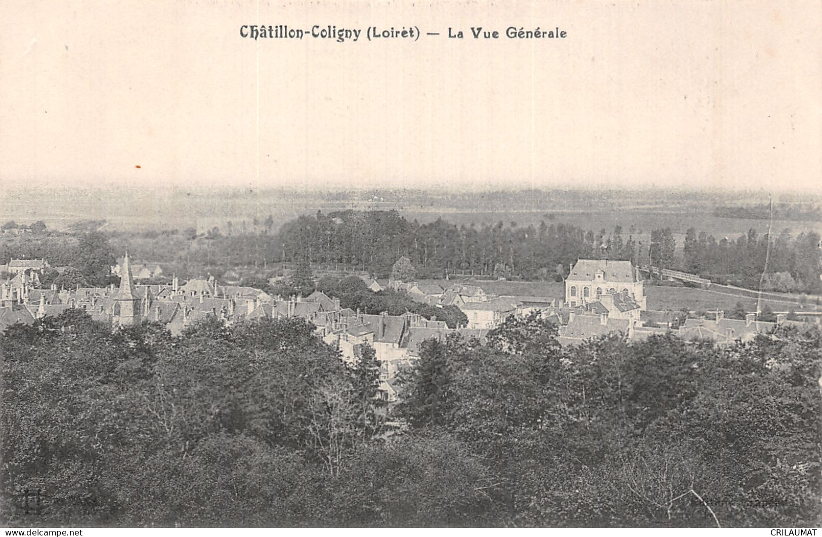 45-CHATILLON COLIGNY-N°T5068-B/0303 - Chatillon Coligny