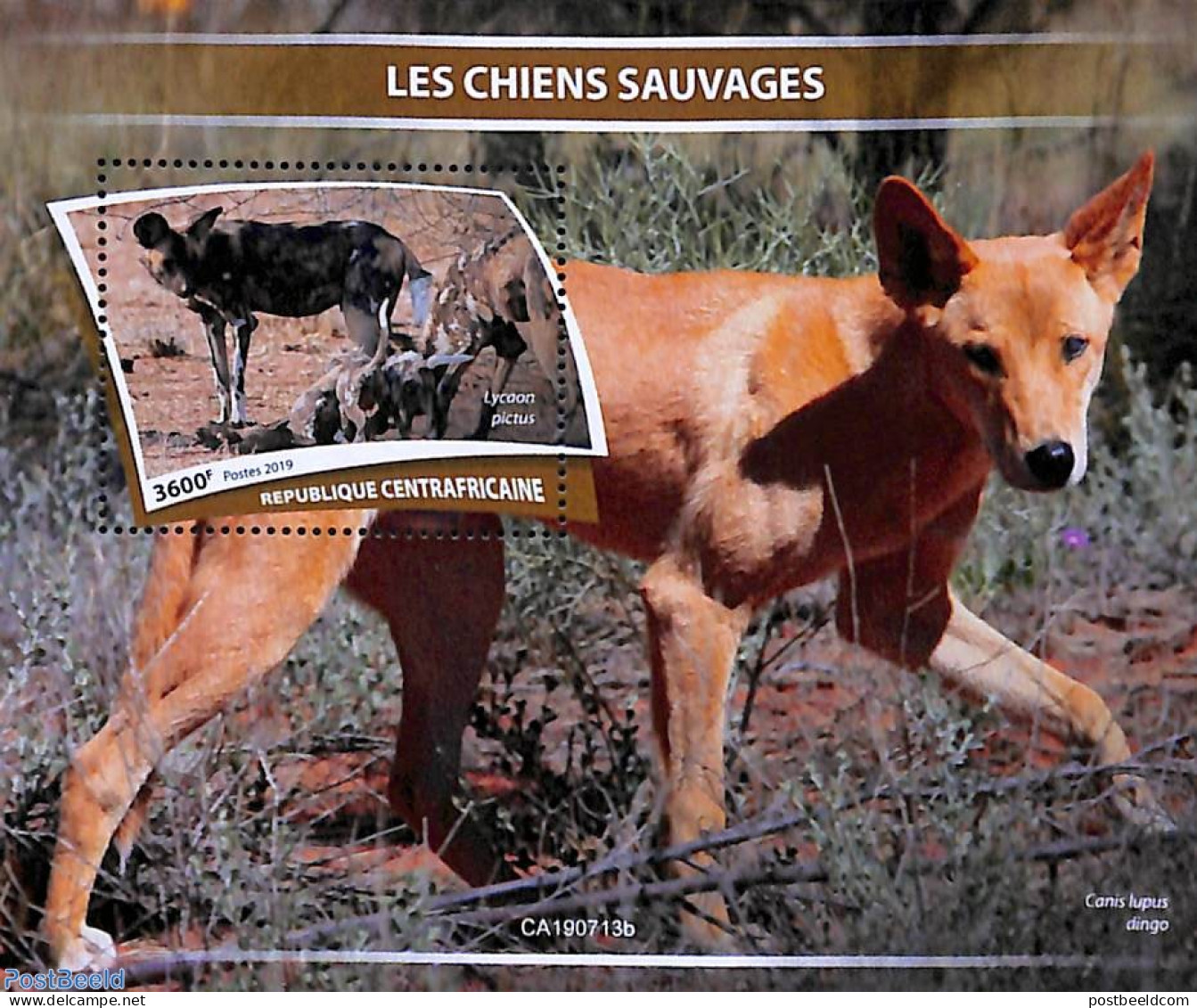 Central Africa 2019 Wild Dogs S/s, Mint NH, Nature - Dogs - Zentralafrik. Republik