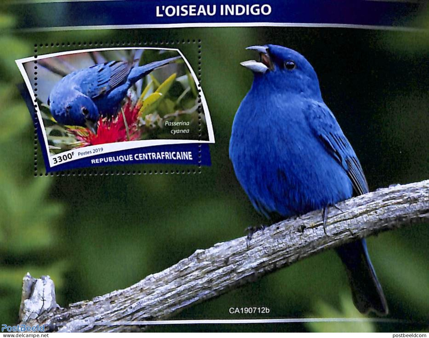 Central Africa 2019 Blue Birds S/s, Mint NH, Nature - Birds - Centrafricaine (République)