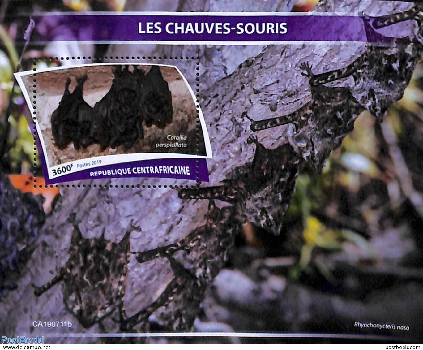 Central Africa 2019 Bats S/s, Mint NH, Nature - Bats - Central African Republic