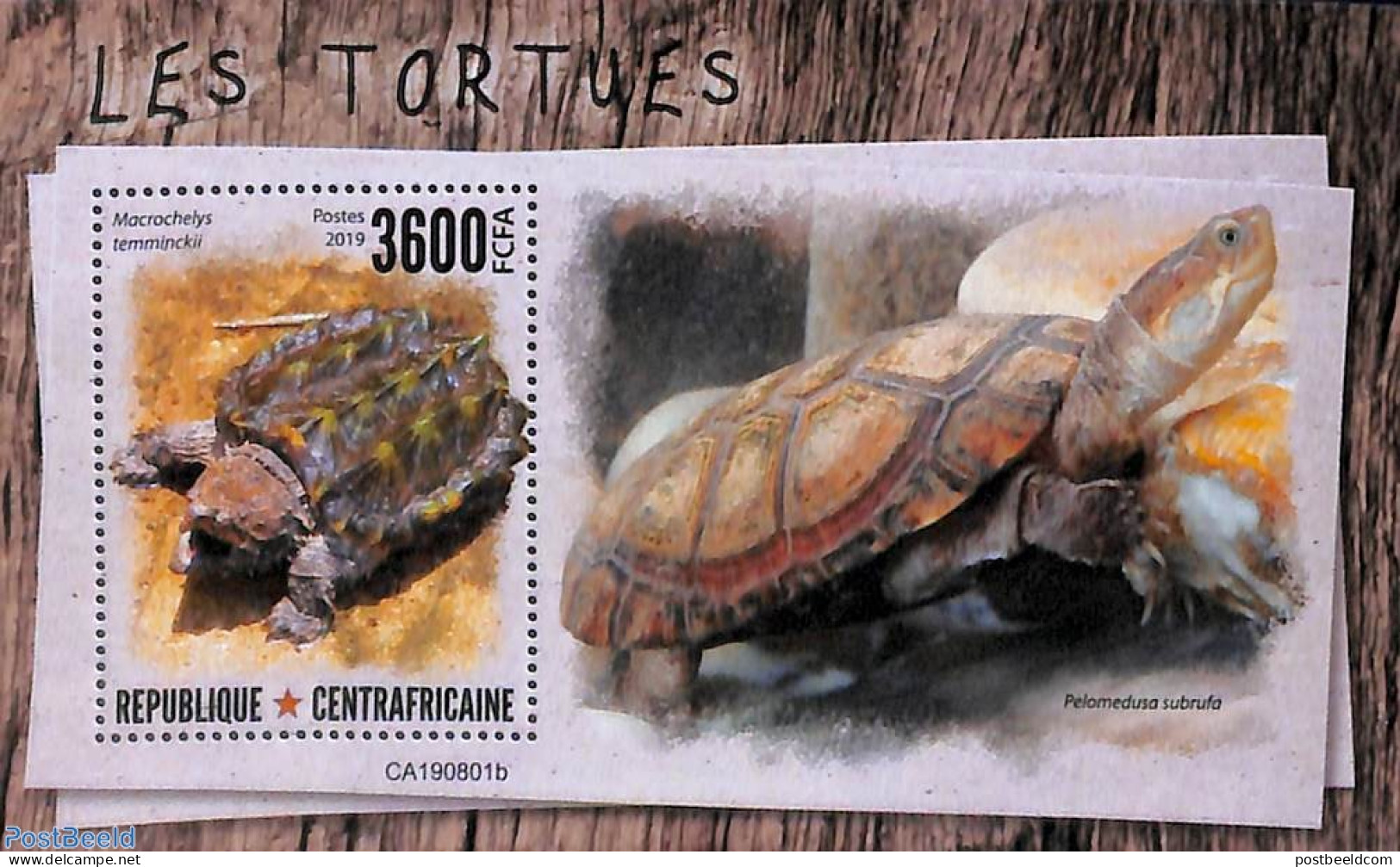 Central Africa 2019 Turtles S/s, Mint NH, Nature - Reptiles - Turtles - Central African Republic