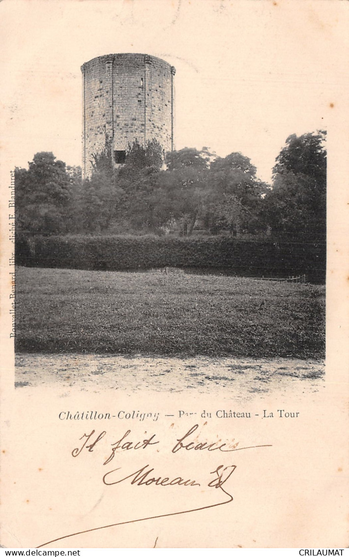 45-CHATILLON COLIGNY-N°T5068-C/0217 - Chatillon Coligny
