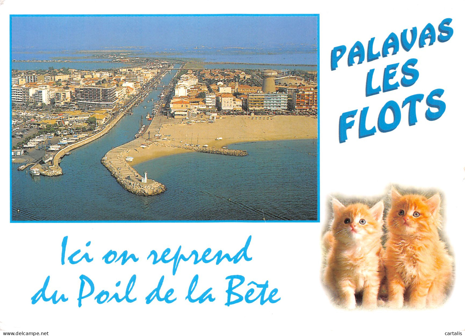 34-PALAVAS LES FLOTS-N° 4389-C/0083 - Palavas Les Flots