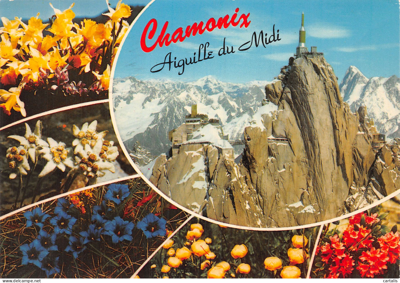 74-CHAMONIX-N° 4390-A/0067 - Chamonix-Mont-Blanc