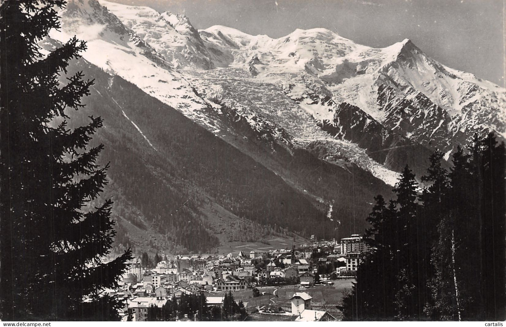 74-CHAMONIX-N° 4390-E/0077 - Chamonix-Mont-Blanc