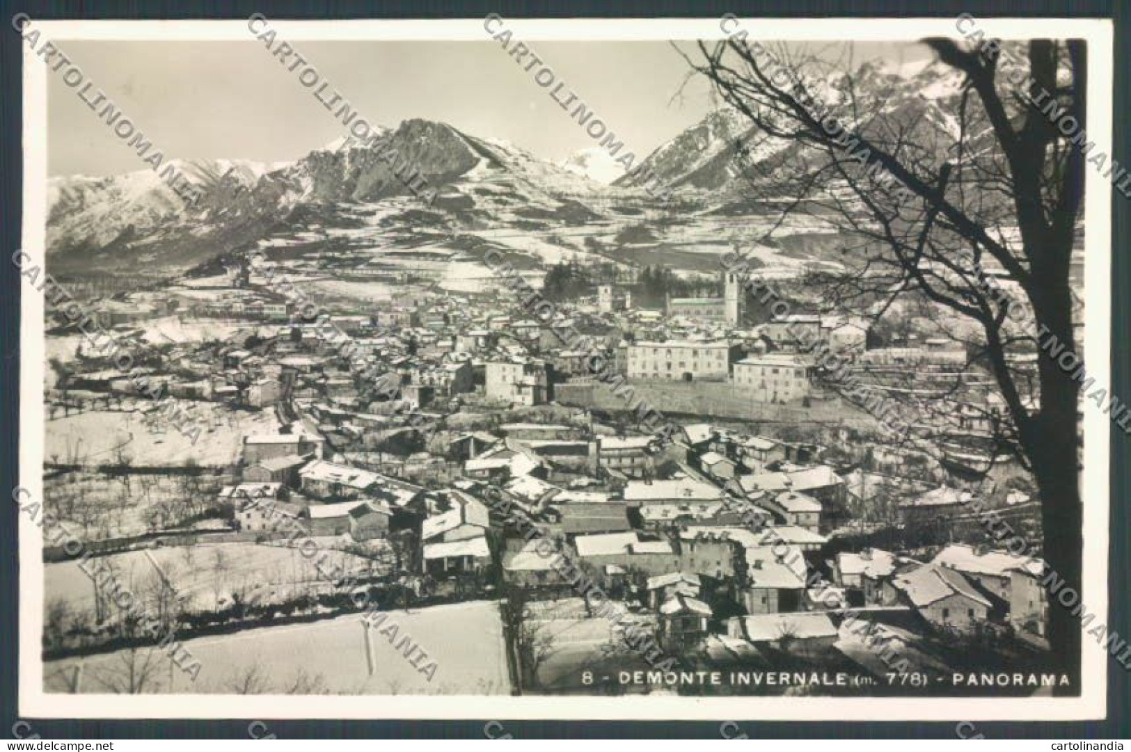 Cuneo Demonte Nevicata Foto Cartolina ZB2669 - Cuneo