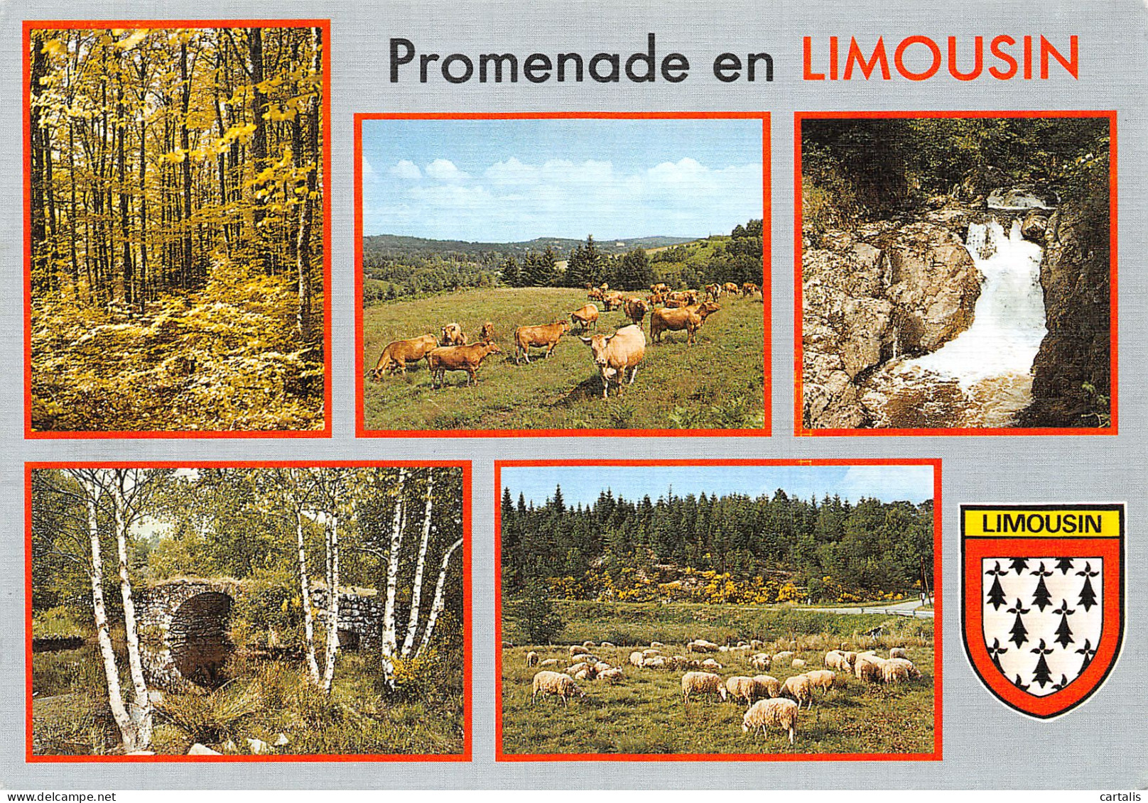 23-LE LIMOUSIN PAYS D EAU DE BOIS ET DE VERDURE-N° 4391-C/0365 - Autres & Non Classés