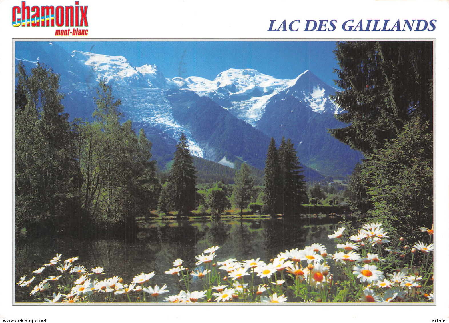 74-CHAMONIX MONT BLANC-N° 4391-C/0107 - Chamonix-Mont-Blanc