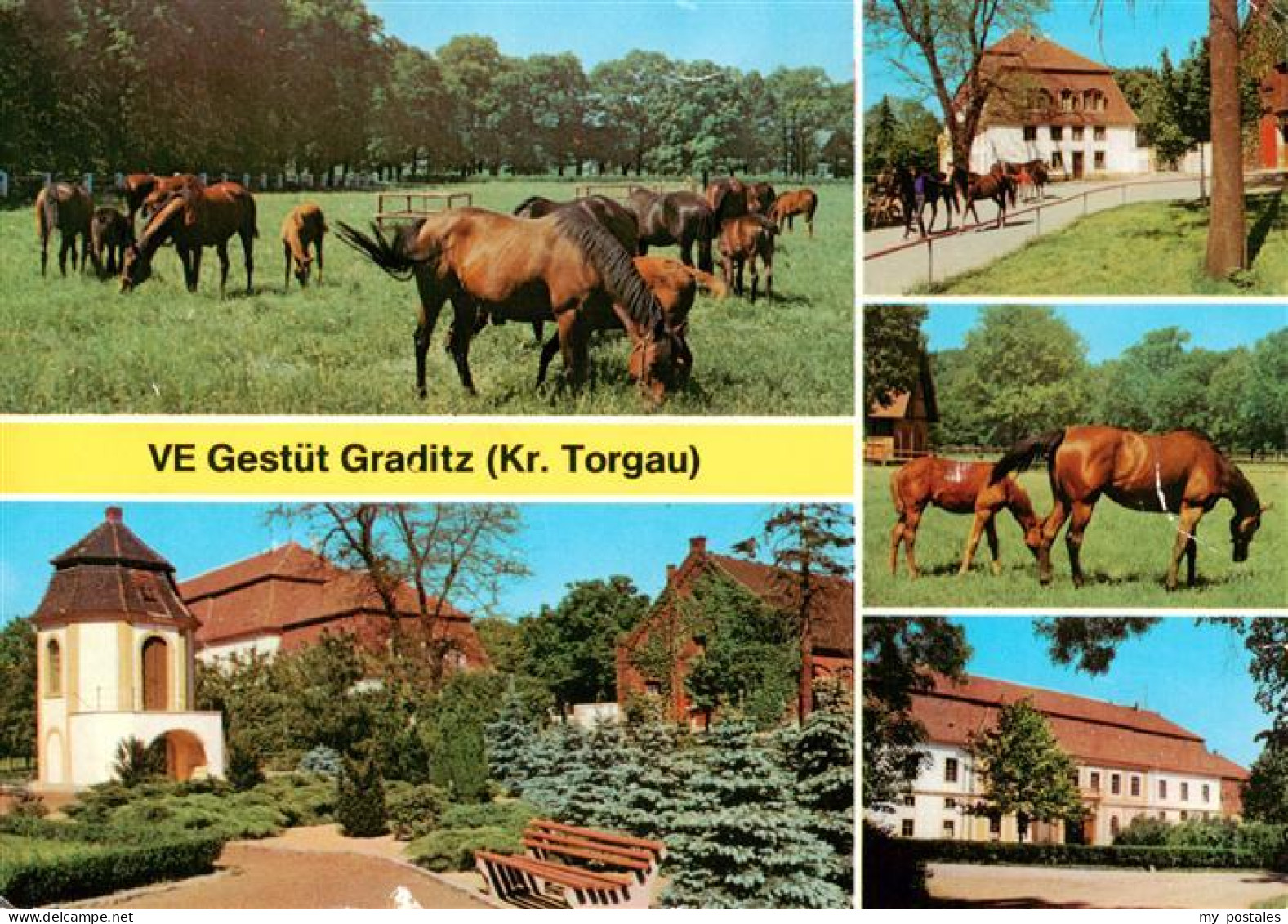 73889206 Graditz VE Gestuet Graditz - Torgau