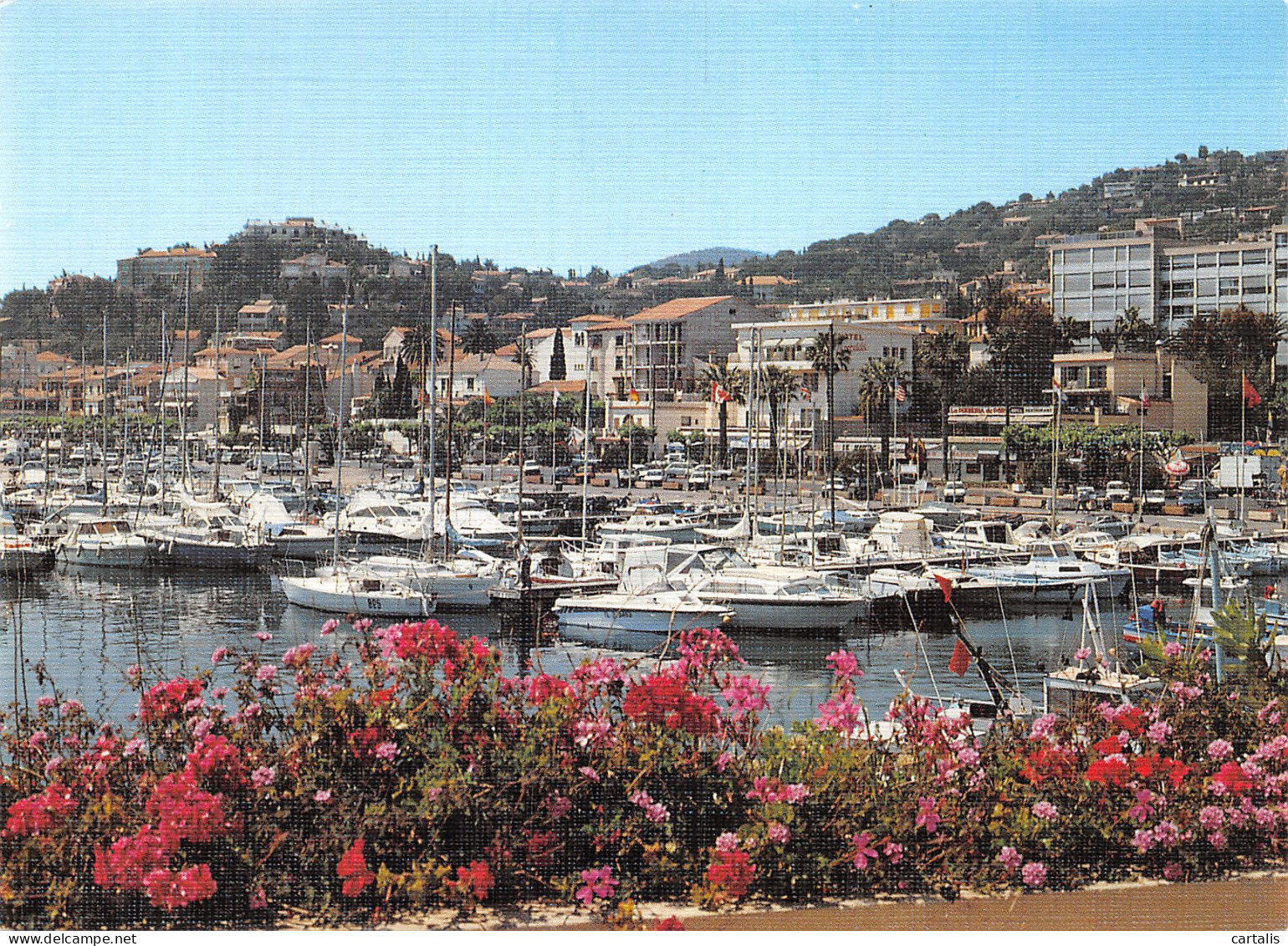 83-LE LAVANDOU-N° 4392-A/0029 - Le Lavandou