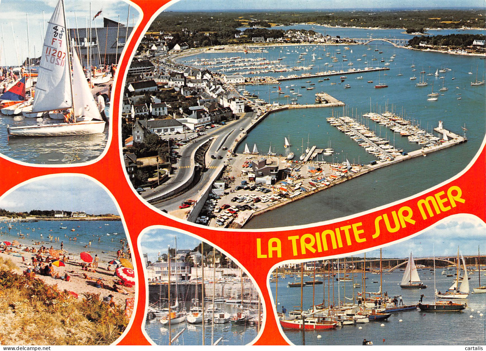 56-LA TRINITE SUR MER-N° 4391-D/0293 - La Trinite Sur Mer