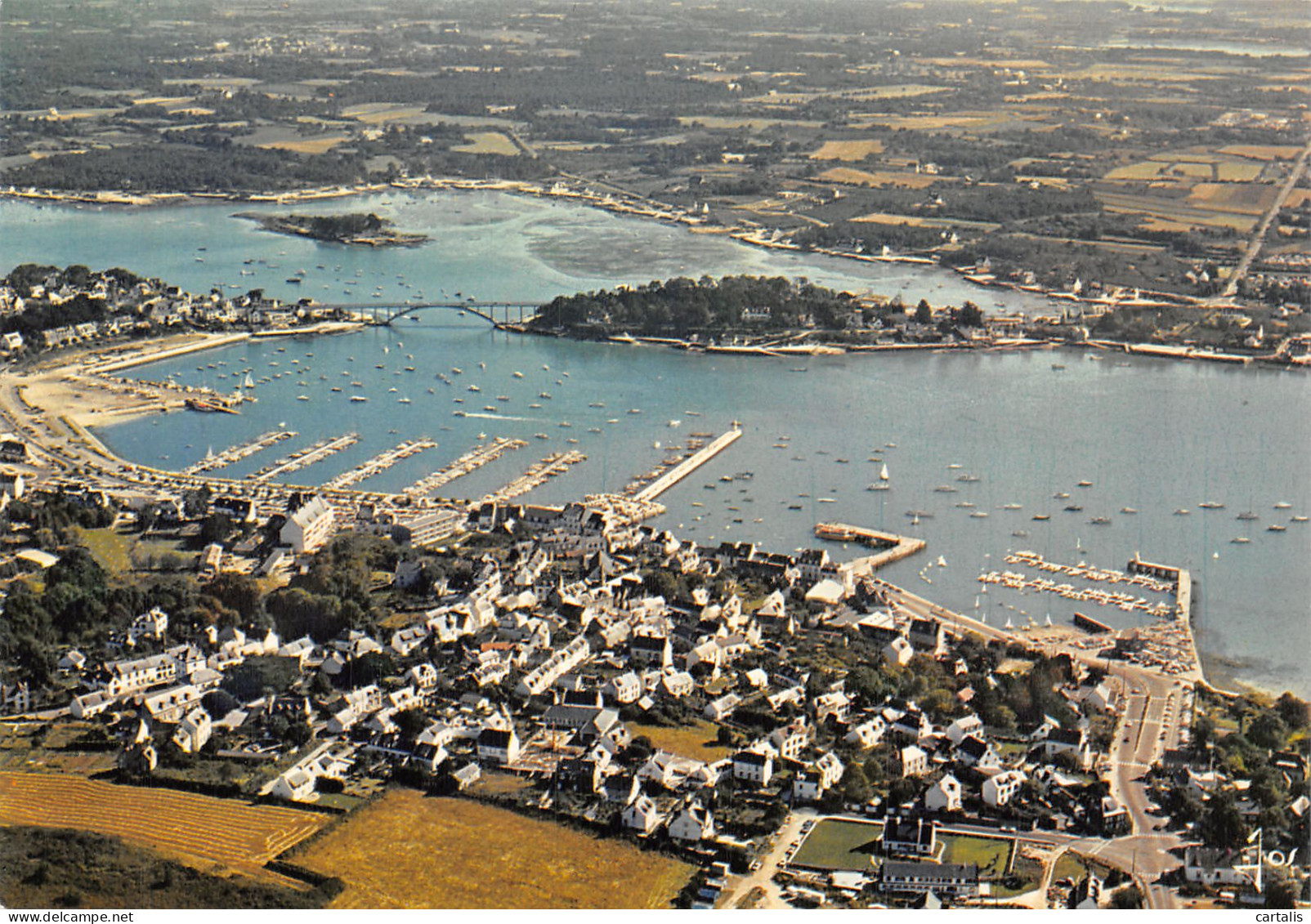 56-LA TRINITE SUR MER-N° 4391-D/0267 - La Trinite Sur Mer