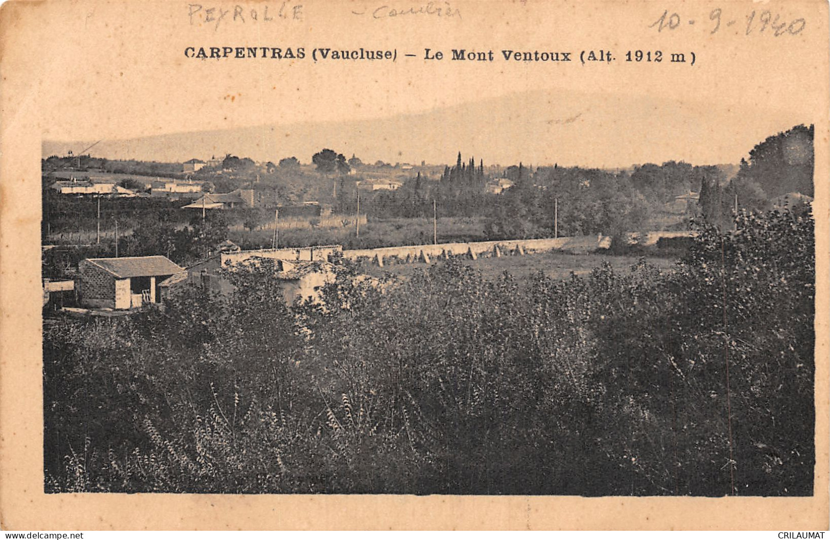84-CARPENTRAS-N°T5071-A/0125 - Carpentras