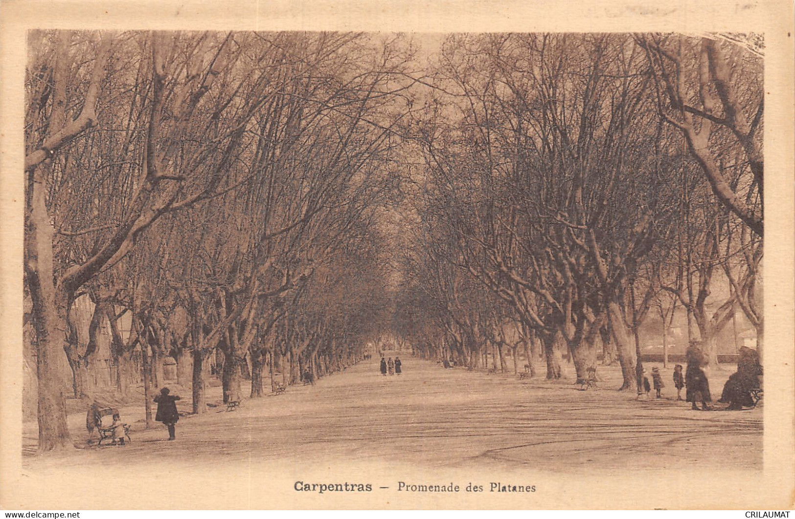 84-CARPENTRAS-N°T5071-A/0053 - Carpentras