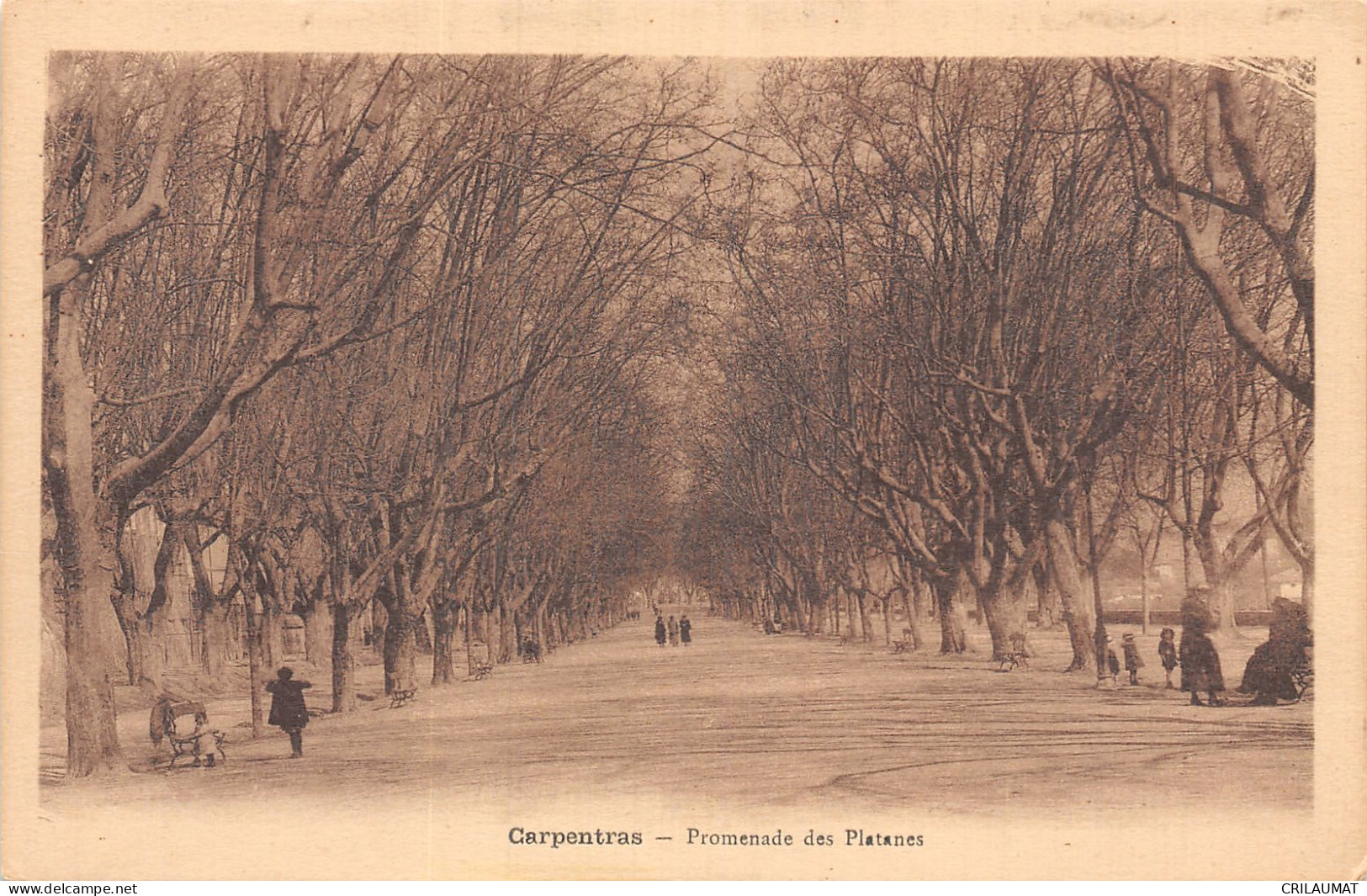 84-CARPENTRAS-N°T5071-A/0051 - Carpentras