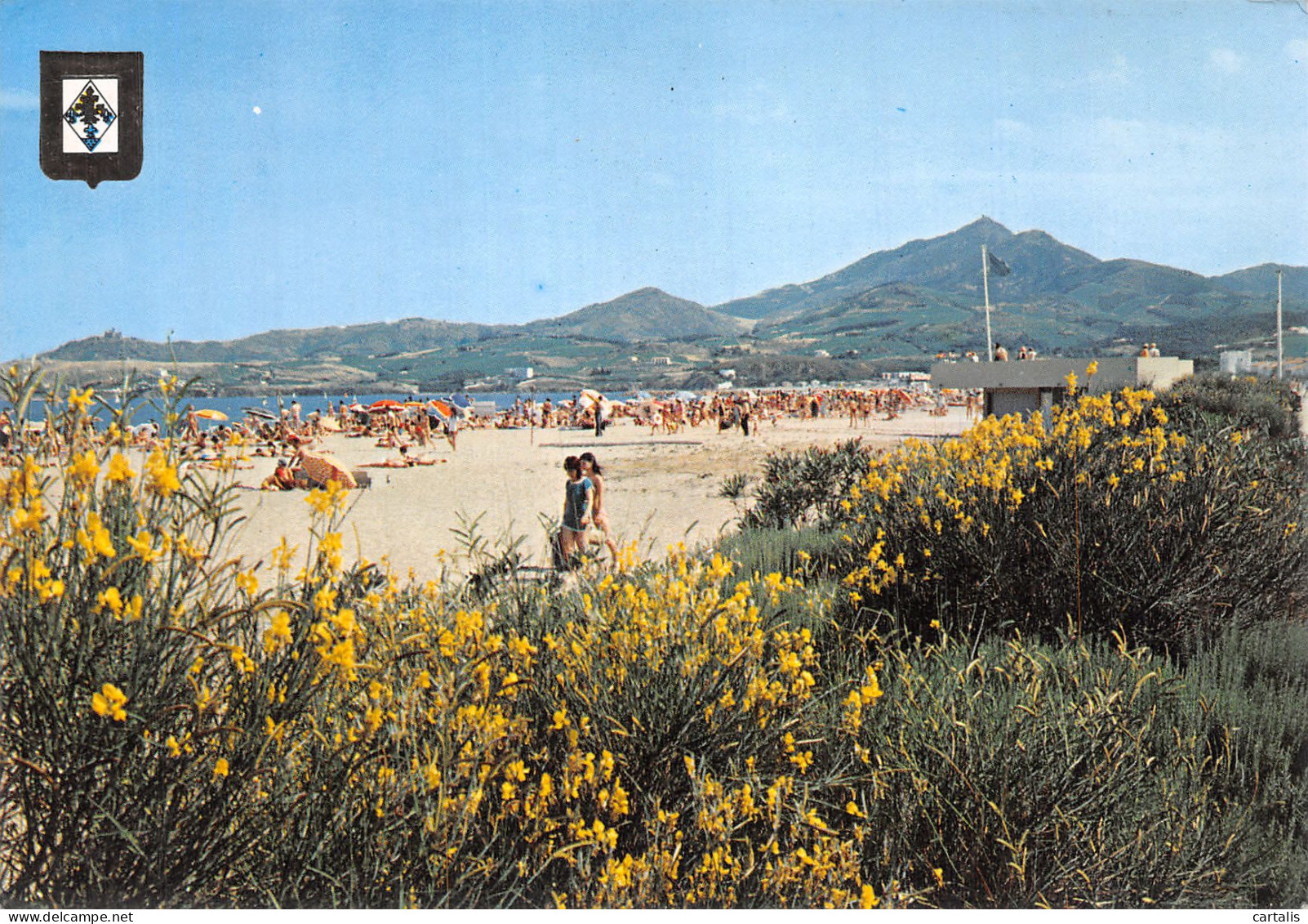 66-ARGELES PLAGE-N° 4392-B/0263 - Argeles Sur Mer